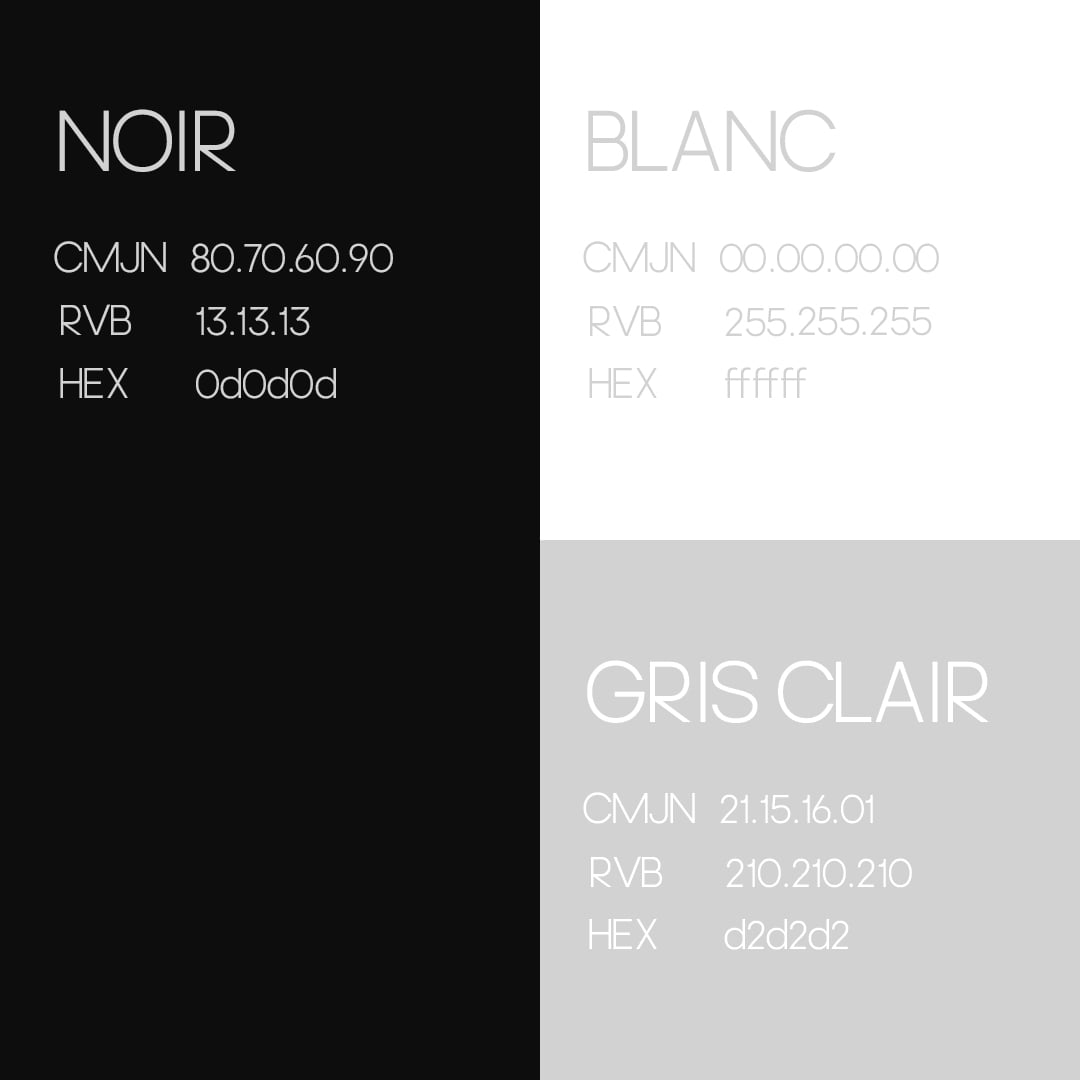 palette-couleurs palette des couleurs : noir, blanc et gris